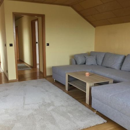 Alte Salzstrasse 43 Ferienwohnung 布里特林根 外观 照片